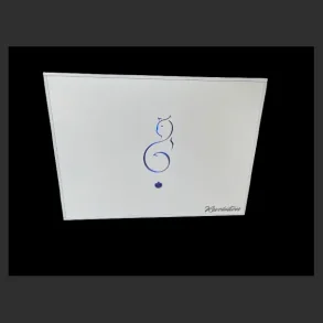 Mono Power Amplifier