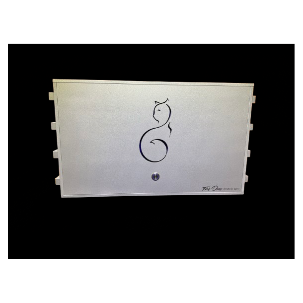 The One Power Amplifier Mono Block