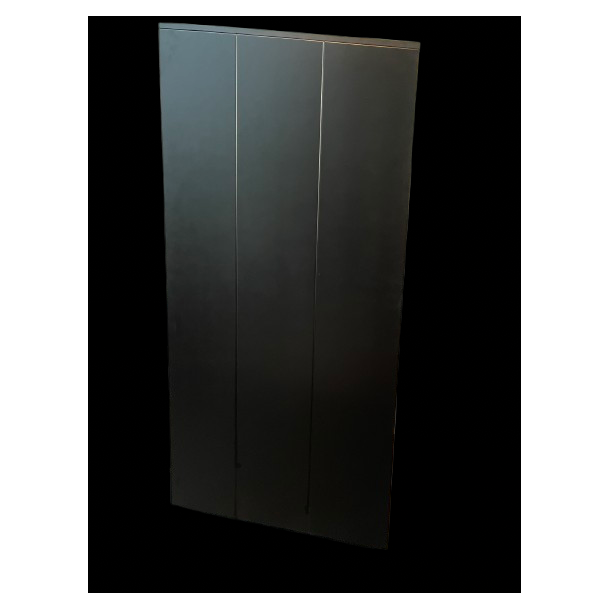 Speaker REVOLUTION TRANSPARENCY