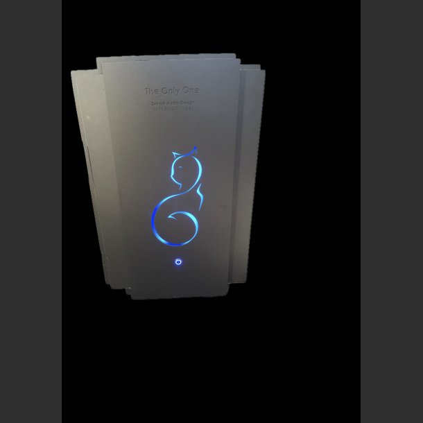 THE ONLY ONE, LAST AND WILDEST EDITION STEREO POWER AMPLIFIER