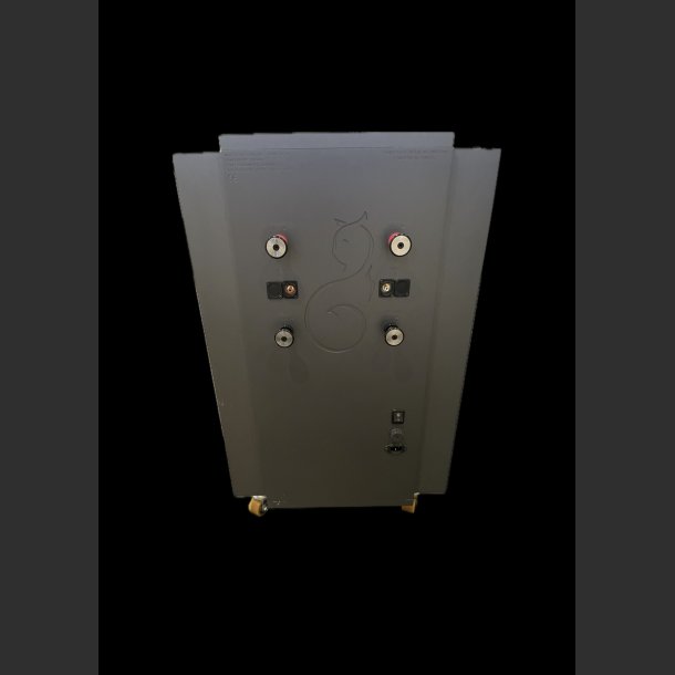 THE ONLY ONE, LAST AND WILDEST EDITION STEREO POWER AMPLIFIER