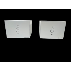 Revolution Mono power amplifier