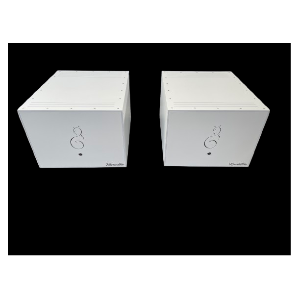 Revolution Mono power amplifier
